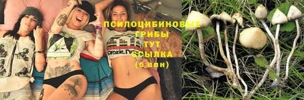 гидра Навашино