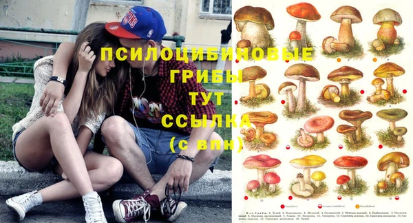 ПСИЛОЦИБИНОВЫЕ ГРИБЫ Наволоки