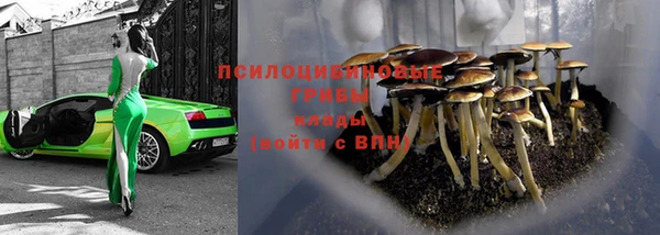 ПСИЛОЦИБИНОВЫЕ ГРИБЫ Наволоки