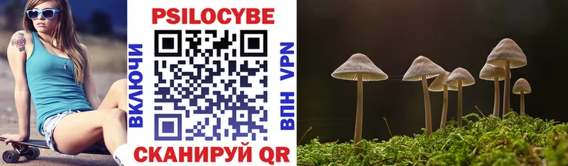 Псилоцибиновые грибы Psilocybine cubensis  мориарти какой сайт  Инта 